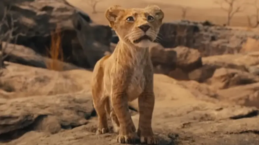 Mufasa The Lion King Trailer Review: Witness Simba's Father's Rise To The Top